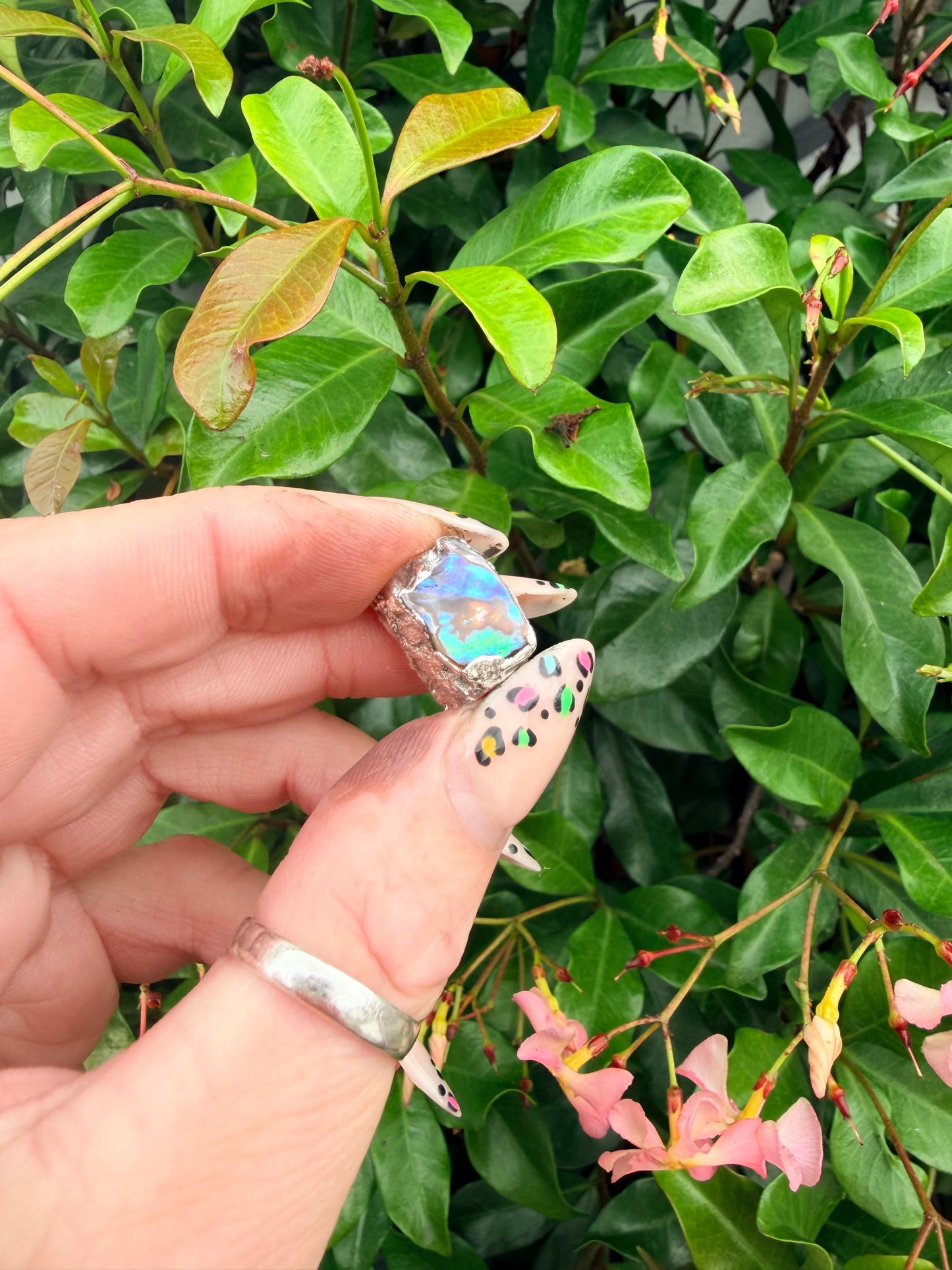 8mm “Eye” abalone shell bead