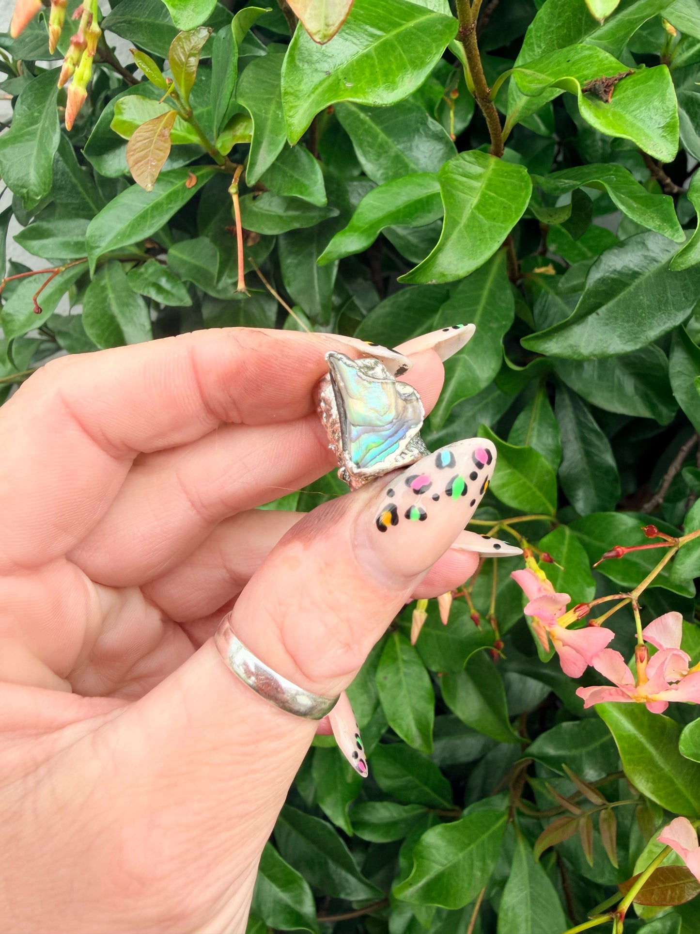 10mm “Sharktooth” abalone shell bead