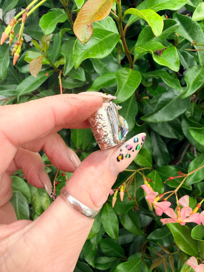 10mm “Sharktooth” abalone shell bead