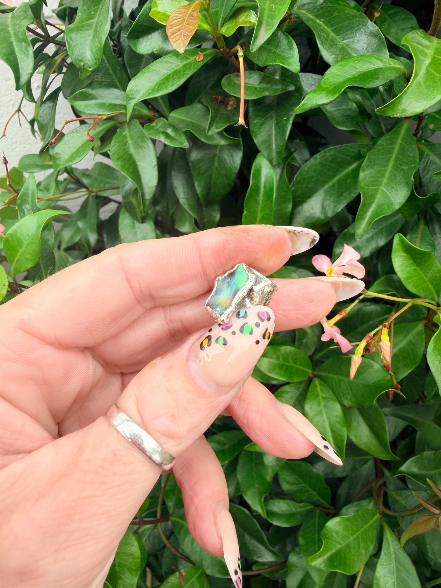 8mm “Gamma” abalone shell bead