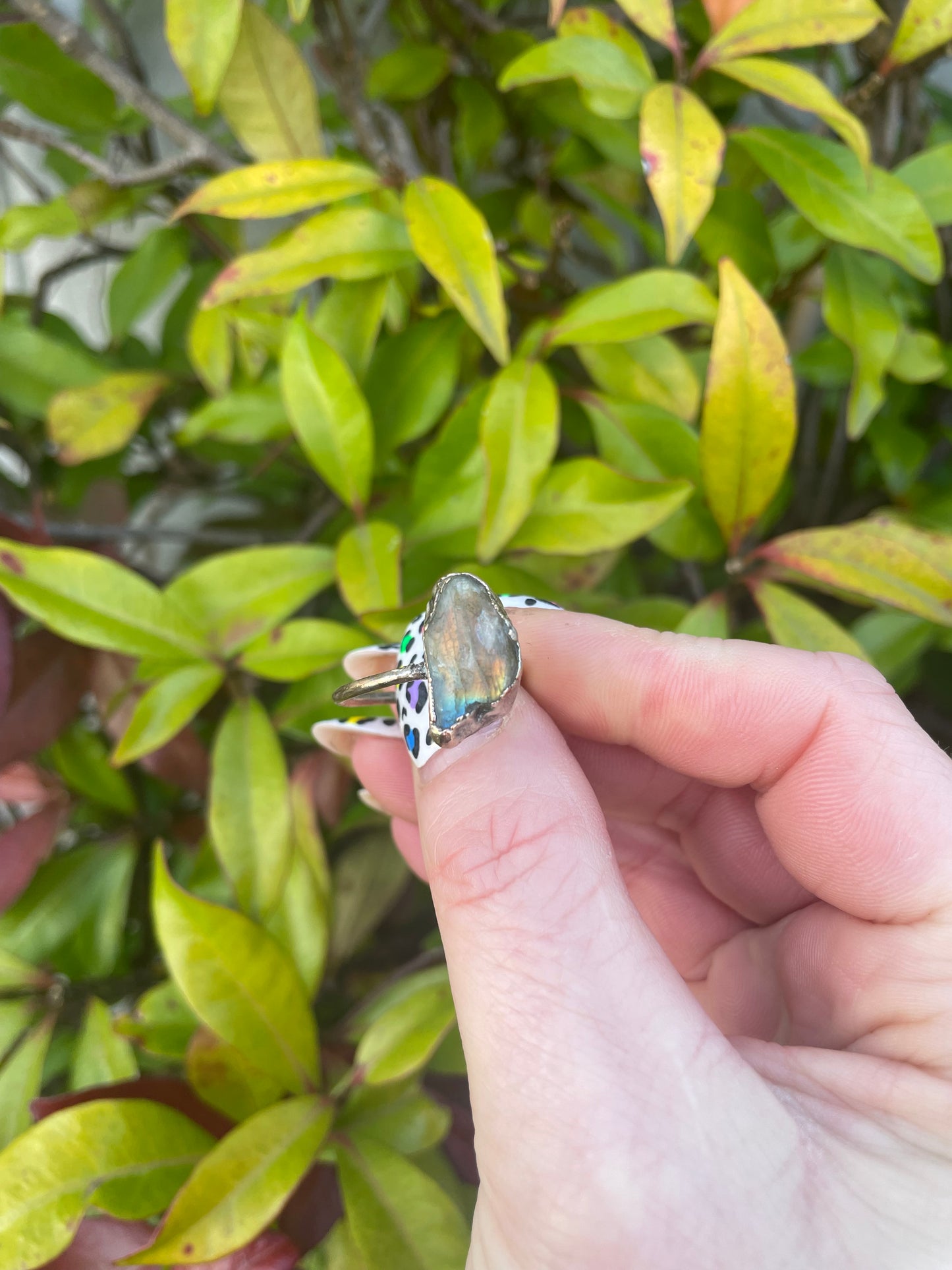 Flashy Lab silver plated ring