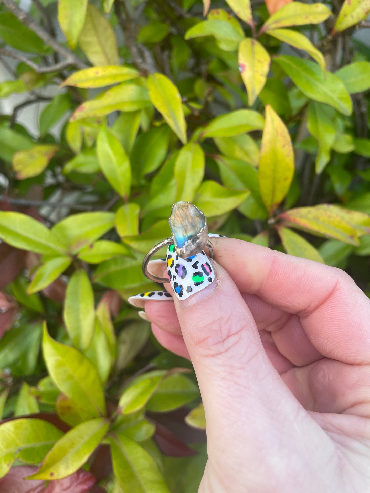 Flashy Lab silver plated ring