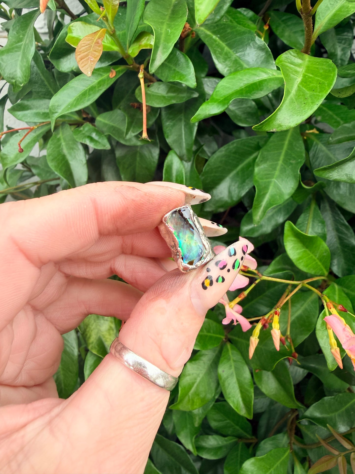 8mm “Mystic” abalone shell bead