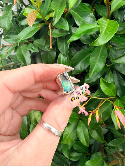 8mm “Mystic” abalone shell bead