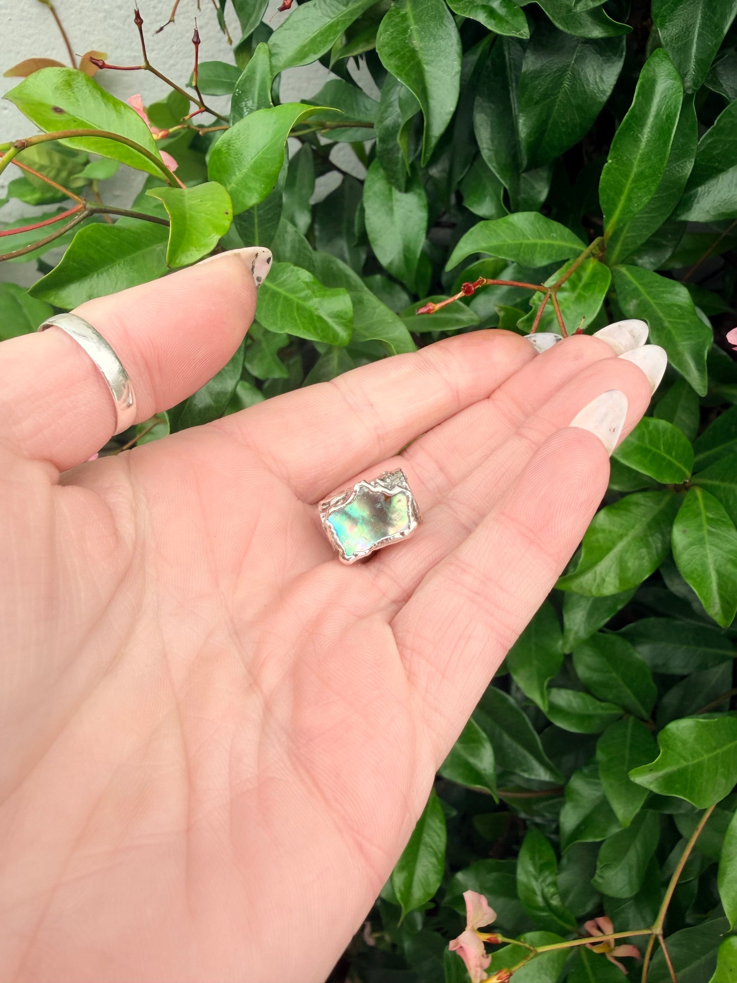 8mm “Gamma” abalone shell bead