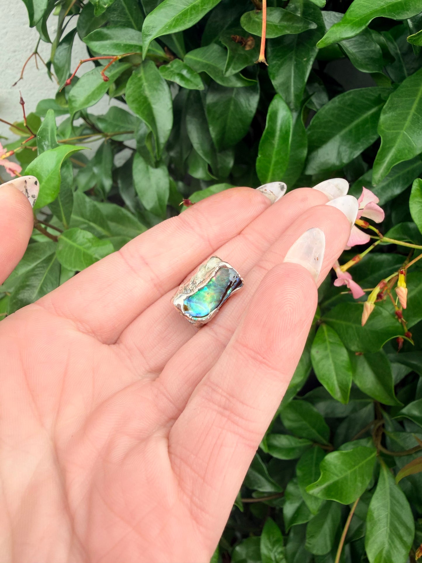 8mm “Mystic” abalone shell bead