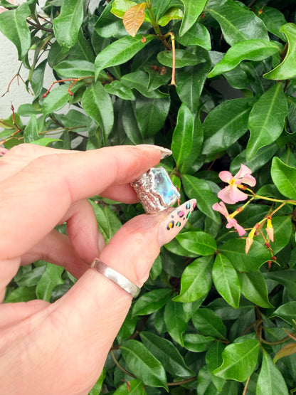 8mm “Gamma” abalone shell bead