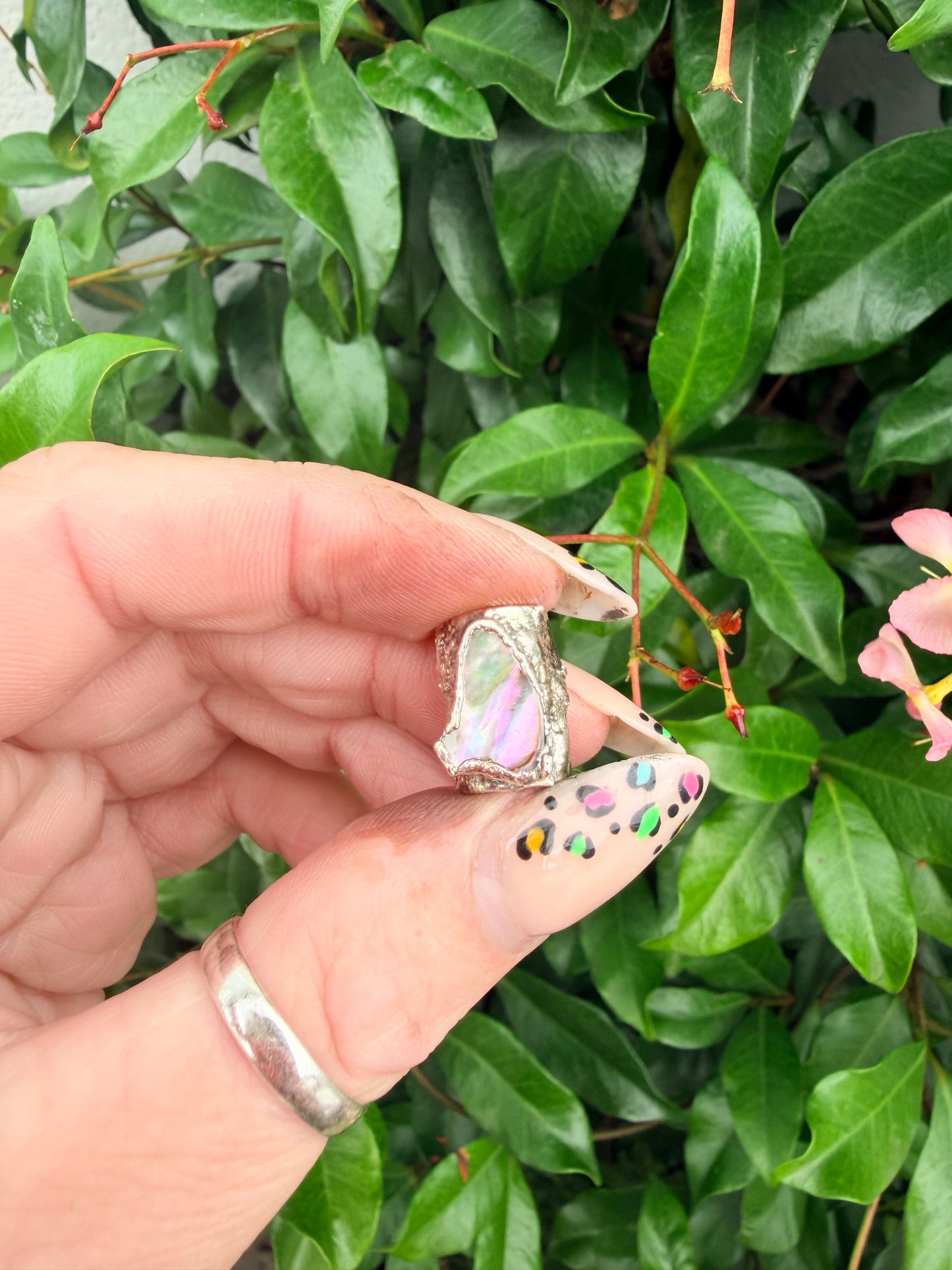 8mm “Princess” abalone shell bead