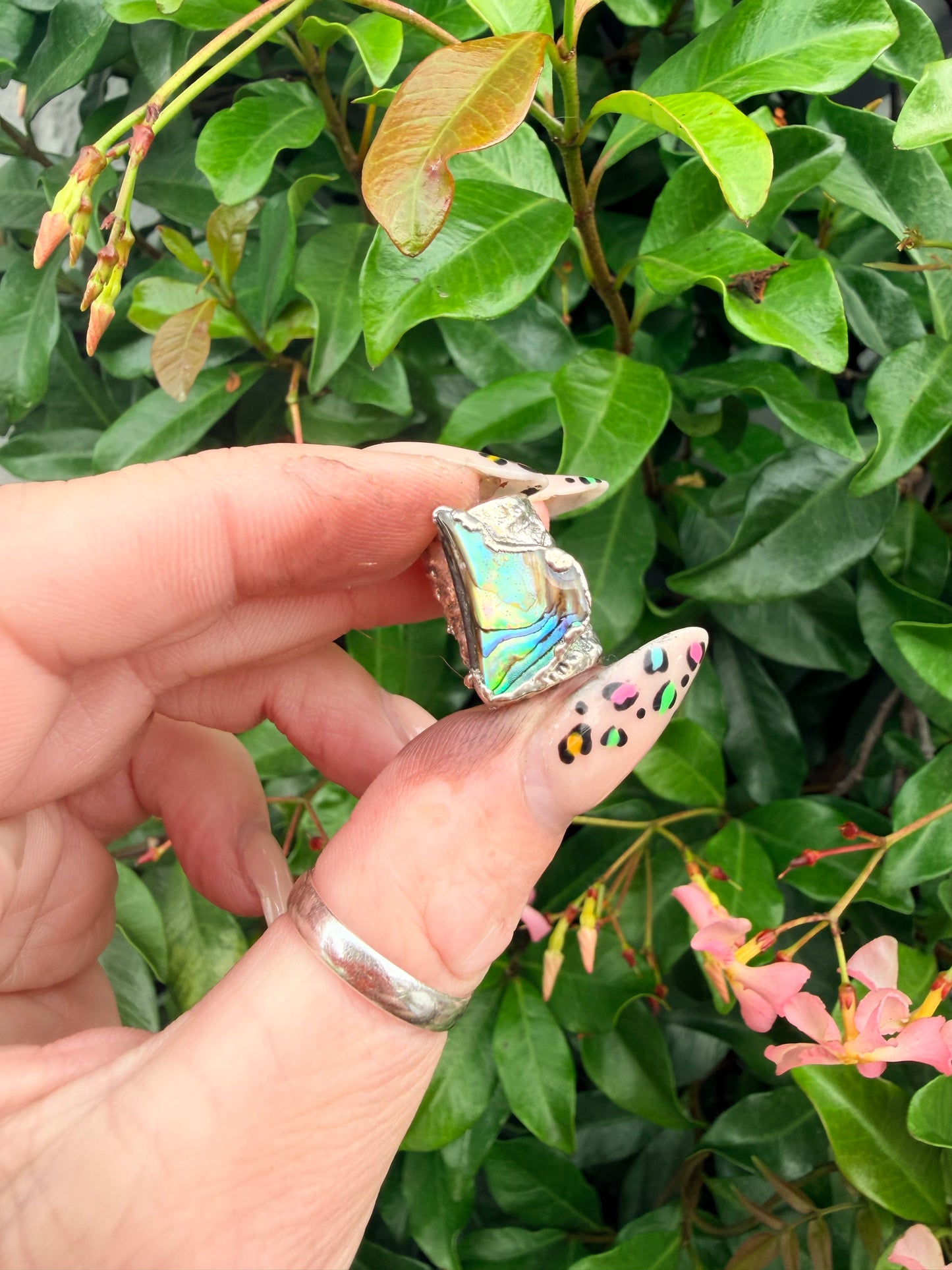 10mm “Sharktooth” abalone shell bead