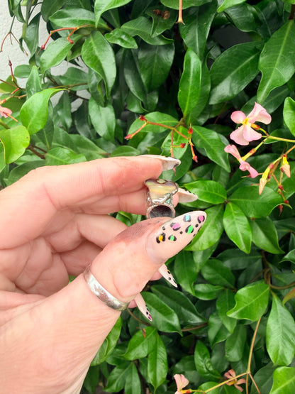 8mm “Ow” abalone shell bead