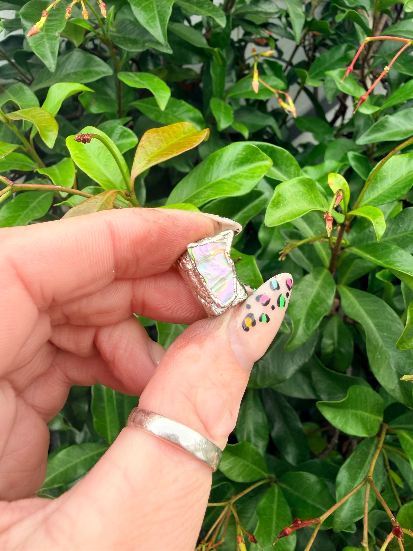 8mm “Royale” abalone shell bead