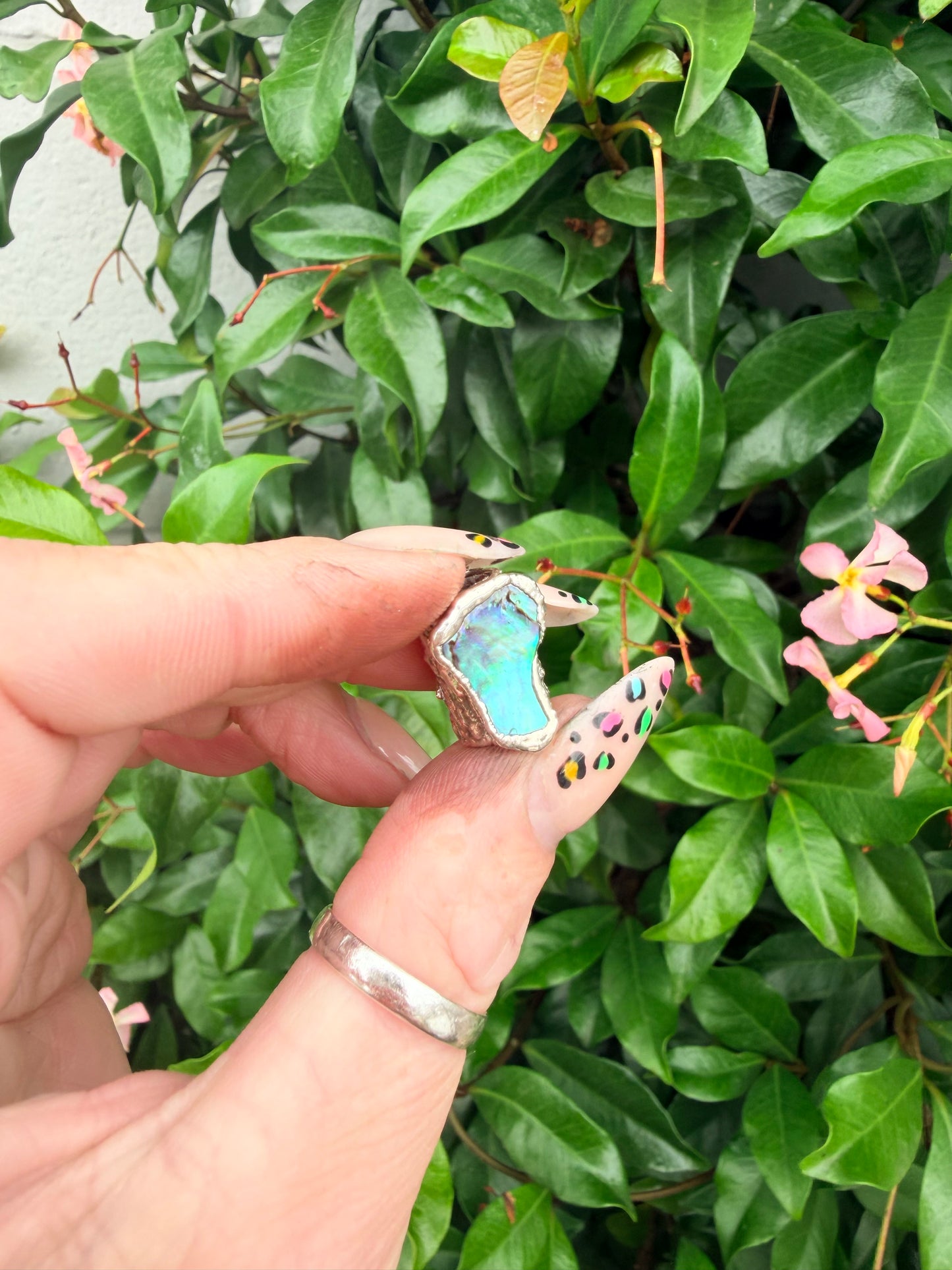 8mm “Dazzle” abalone shell bead