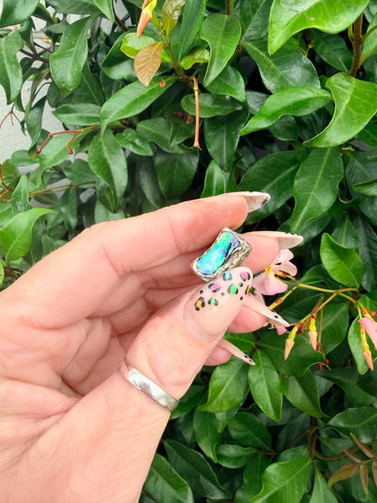 8mm “Mystic” abalone shell bead