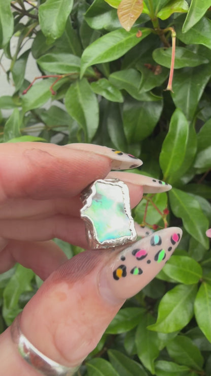 8mm “Gamma” abalone shell bead